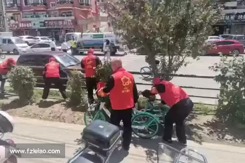 在沈阳街头，我遇到了姜兴全！抓小葱就像拿冠军一样，低调不做作。